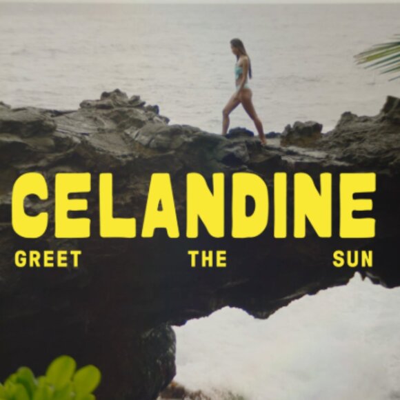 Brand New by Anthropologie Celandine Halter Midi Dress - Picture 4 of 8